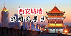 草逼网无限刺激中国陕西-西安城墙旅游风景区